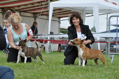 de la Truffe Cadurcienne - RCACIB + RCACS  Expo. Internationale + spéciale de race